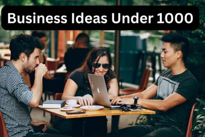 Business Ideas Under 1000