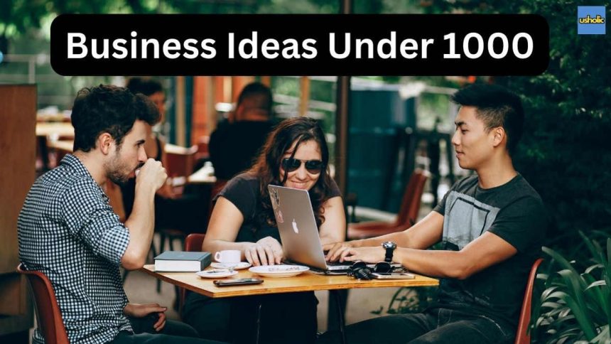 Business Ideas Under 1000