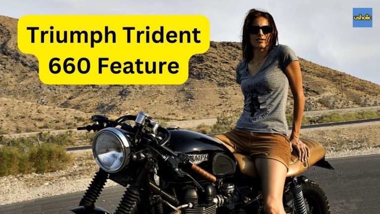 Triumph Trident 660 Feature